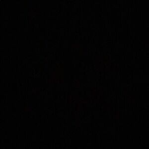 Meet your Posher, Mila